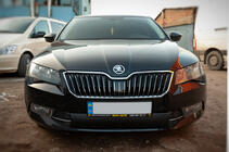 Skoda Superb 2015-2024 Cache d’hiver de calandre (2015-2019, inférieur) photo 1
