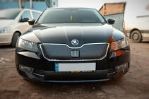 Skoda Superb 2015-2024 Cache d’hiver de calandre (2015-2019, inférieur) photo 2