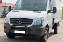 Mercedes Sprinter W906 2006–2018 Pare-buffle WT003 (noir) photo 1