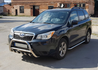 Subaru Forester 2013-2018 Pare-buffle WT003 (Inox) photo 2