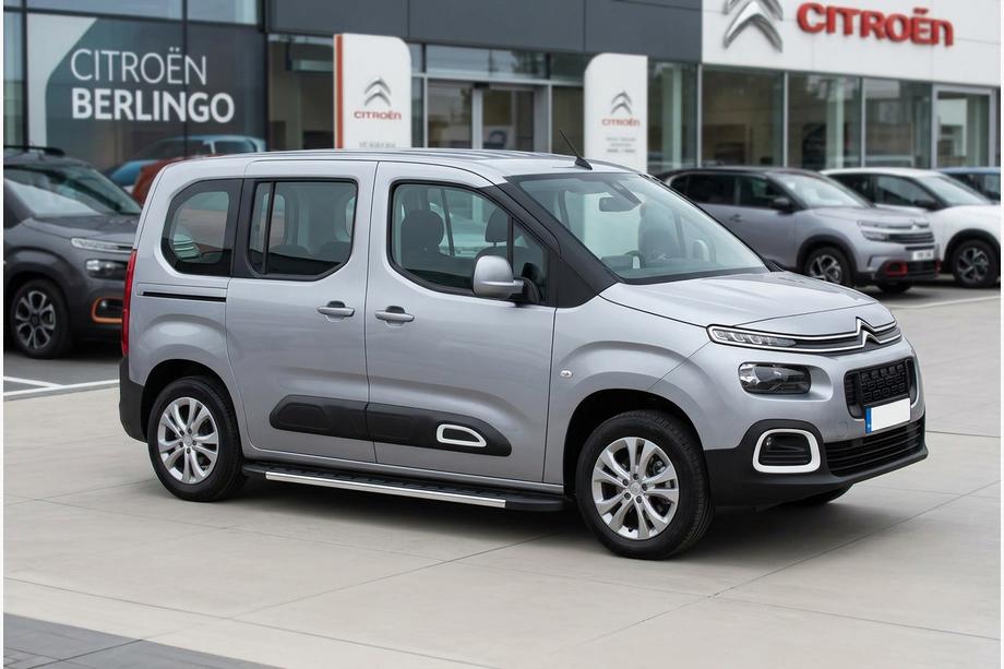 Citroen Berlingo/Multispace 2018- Marchepieds Latéraux Duru (2 pcs, Aluminium) Image