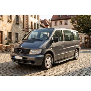 Marchepieds latéraux Bosphorus Grey (2 pcs, aluminium) Mercedes Vito W638 1996-2003 photo 1