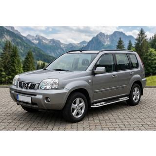Marchepieds Latéraux Tayga V2 (2 pcs, Aluminium) photo 1