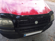 Fiat Doblo I 2001-2005 Déflecteur de capot EuroCap photo 8