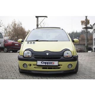 Déflecteur de capot (EuroCap) photo 2