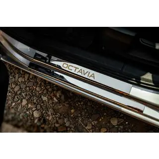 Seuils de porte Carmos V1 (8 pcs, inox)