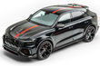 Sport cross Audi RS Q8 par le studio de réglage Mansory photo 1