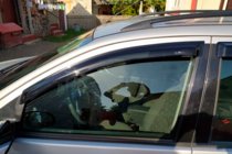 Ford Focus I 1998-2005 Déflecteurs de Vitres SW (4 pcs, HIC) photo 1