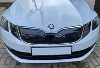 Skoda Octavia III A7 2013-2019 Grille d'hiver (2017-2020) photo 1
