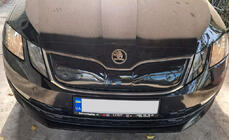 Skoda Octavia III A7 2013-2019 Grille d'hiver (2017-2020) photo 7