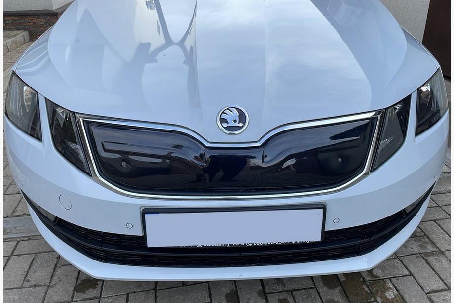 Skoda Octavia III A7 2013-2019 Grille d'hiver (2017-2020) Image