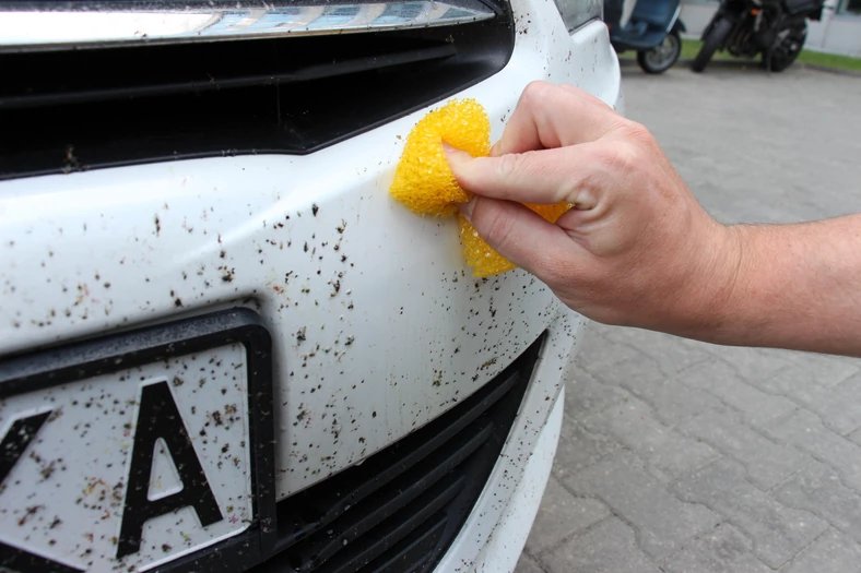Comment éliminer les insectes coincés de ma voiture?