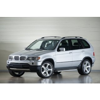 Marchepieds Latéraux Tayga Grey (2 pcs, aluminium) BMW X5 E53 1999–2006 photo 1