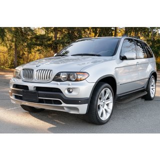 Marchepieds latéraux Tayga Black (2 pcs, aluminium) BMW X5 E53 1999–2006 photo 1