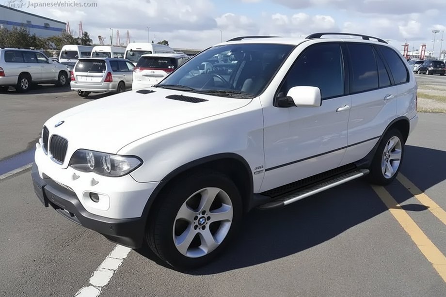 BMW X5 E53 1999–2006 Marchepieds Latéraux Bosphorus Grey (2 pcs, Aluminium) Image