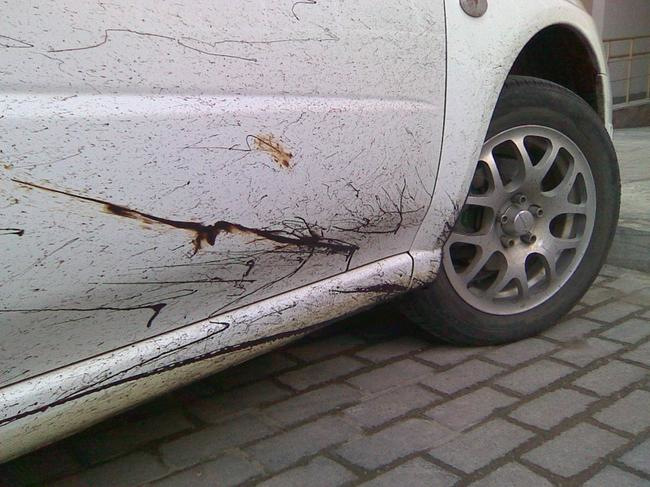 Comment nettoyer la voiture du bitume?