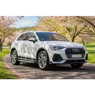 Marchepieds latéraux Allmond Grey (2 pcs, aluminium) Audi Q3 2019–2025 photo 1