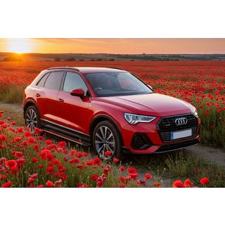 Marchepieds Latéraux Maya Red (2 pcs, Aluminium) Audi Q3 2019–2025 photo 1