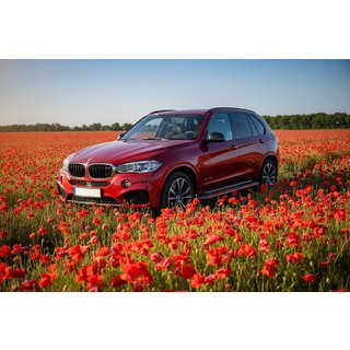 Marchepieds Latéraux Maya Red (2 pcs, Aluminium) BMW X5 F15 2013-2018 photo 1