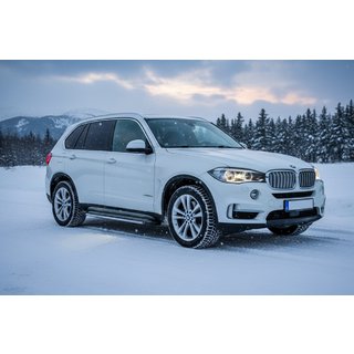 Marchepieds Latéraux Rainbow (2 pcs, Aluminium) BMW X5 F15 2013-2018 photo 1