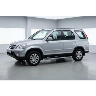 Marchepieds Latéraux Tayga Grey (2 pcs, Aluminium) photo 1