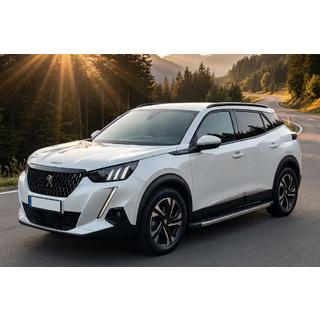 Marchepieds Latéraux BlackLine (2 pcs, Aluminium) Peugeot 2008 2019- photo 1