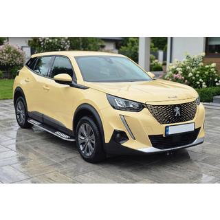 Marchepieds Latéraux Tayga V2 (2 pcs, Aluminium) photo 1
