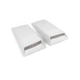 Inserts de toit LED (2 pcs, à peindre) photo 1