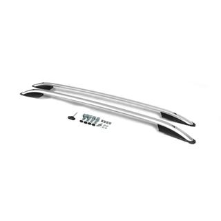 Barres de toit Skyport (argent) photo 2