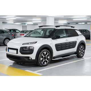 Marchepieds Latéraux Tayga V2 (2 pcs, Aluminium) photo 1