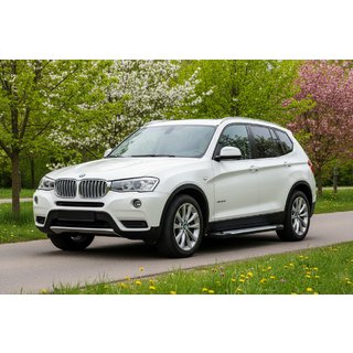 Marchepieds latéraux Allmond Grey (2 pcs, aluminium) BMW X3 F25 2011-2018 photo 1