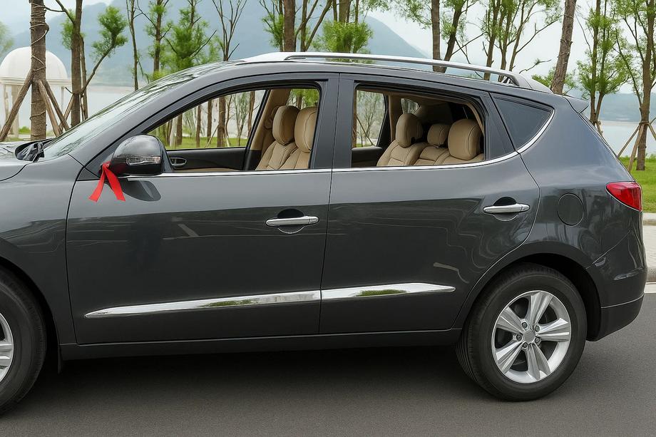 Geely Emgrand X7 2011- Moulures de porte Libao (4 pcs, plastique) Image