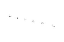 Nissan Patrol Y61 1997-2011 Inscription Patrol photo 4
