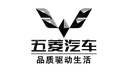 brand icon